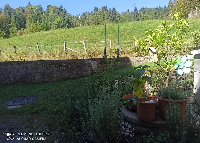 Apartment Gimpelchen