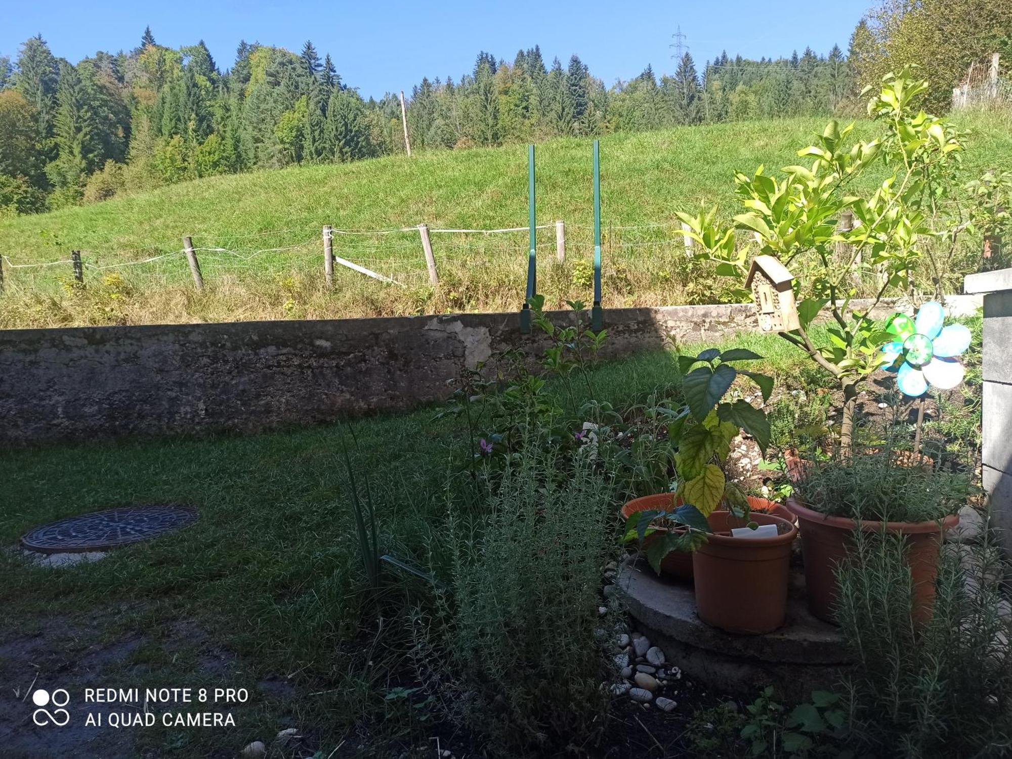 Apartment Gimpelchen *